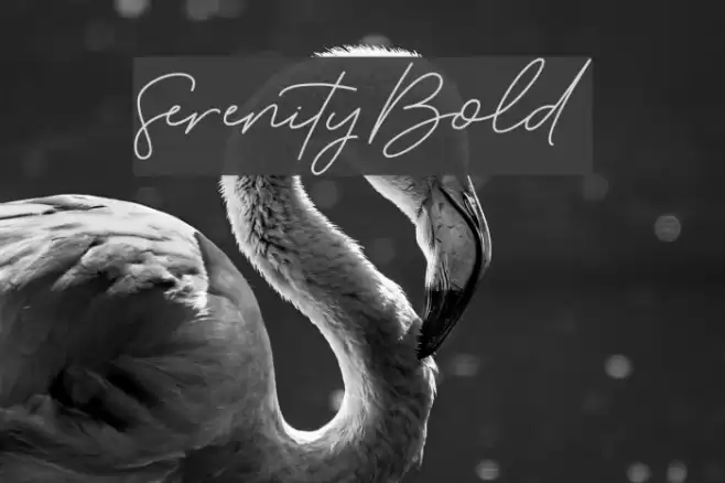 Serenity-Bold Font examples