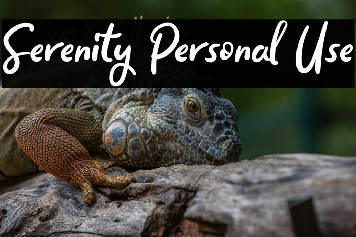 Serenity Personal Use Example 1