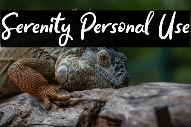Serenity Personal Use Example 1