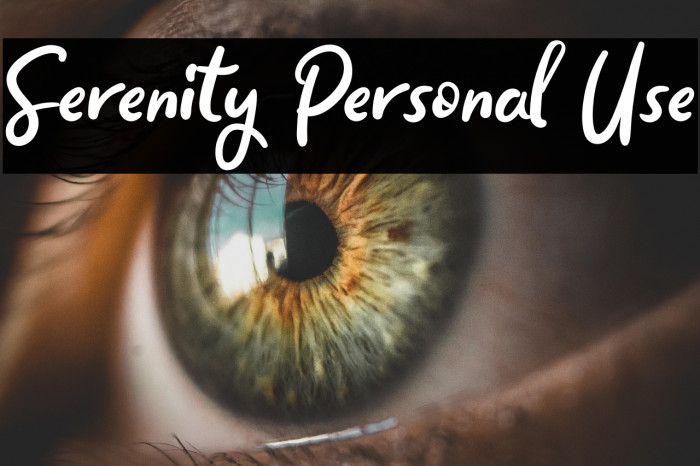 Serenity Personal Use Example 3