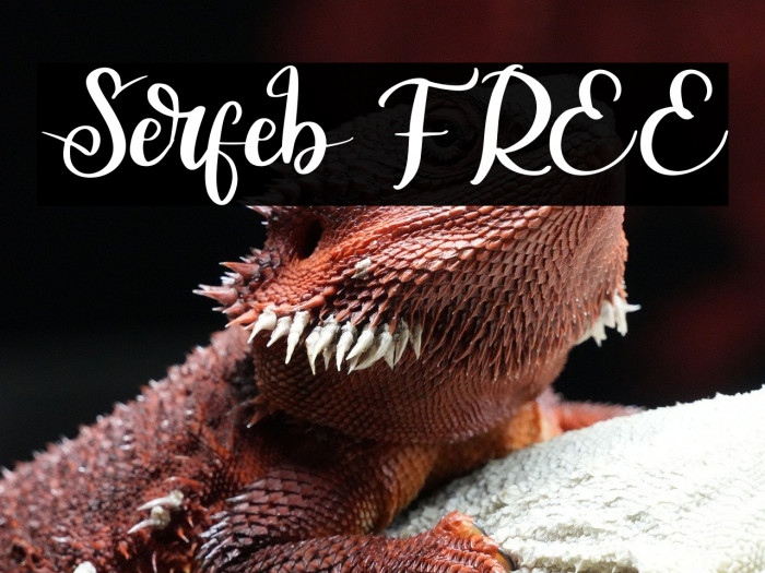 Serfeb FREE Example 2