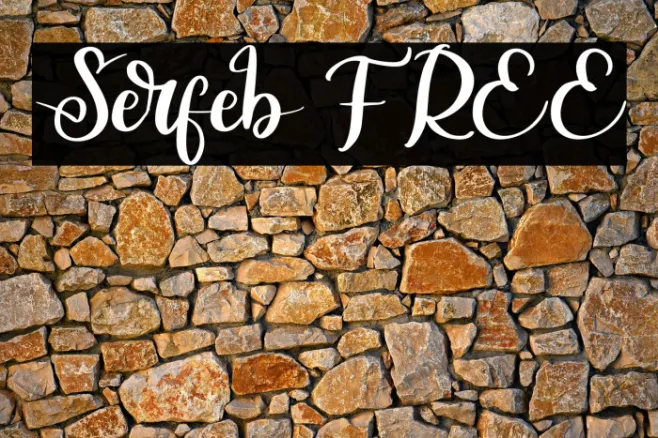 Serfeb FREE Example 3