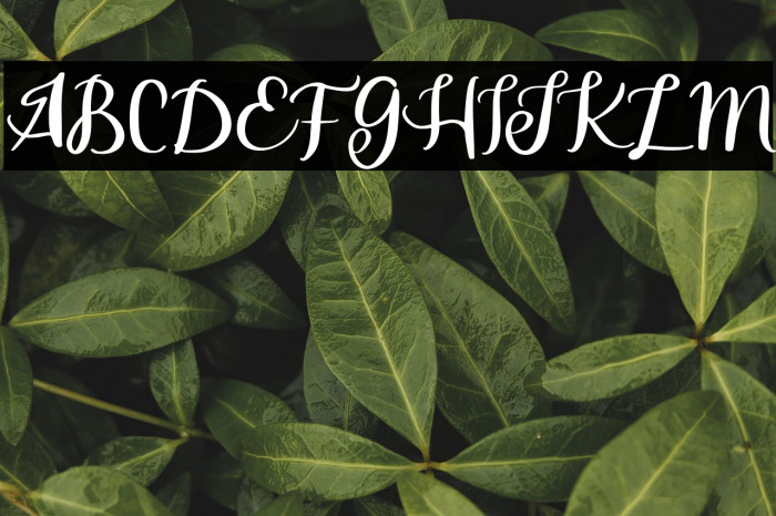 SerfebFREE Example 1