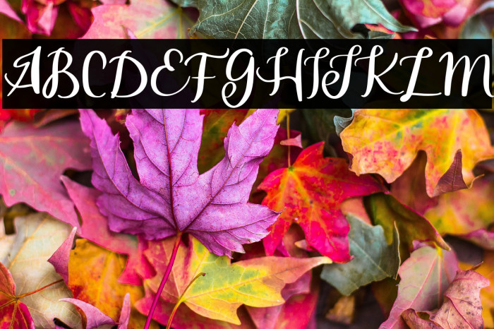 SerfebFREE Example 2