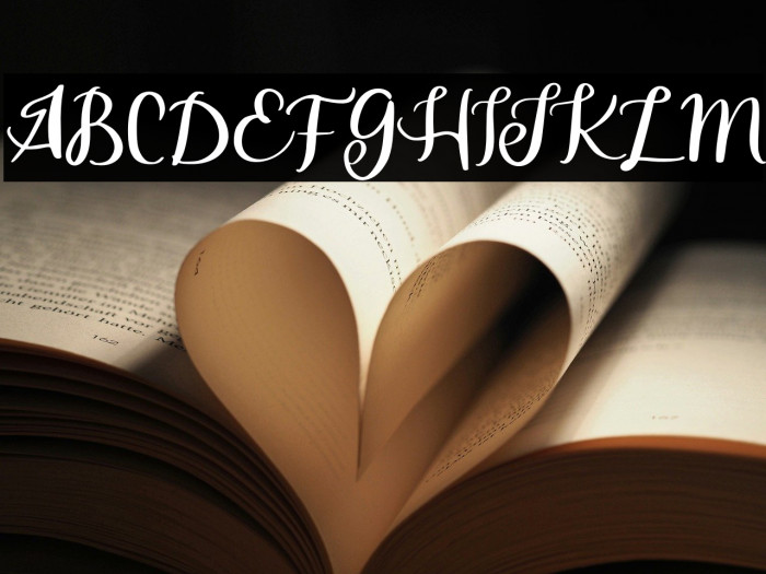 SerfebFREE Example 3