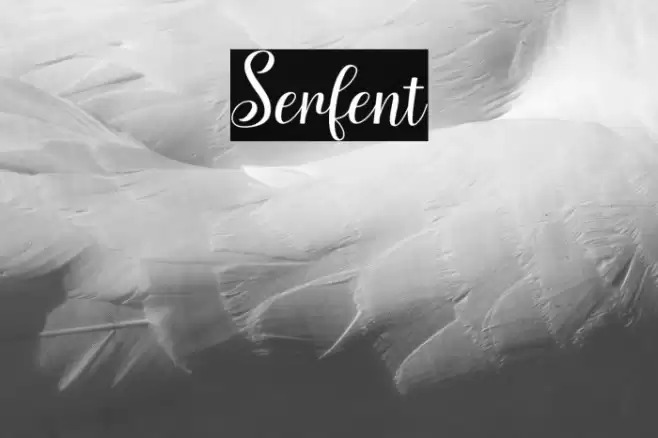 Serfent Font examples