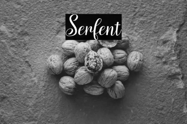 Serfent Font examples