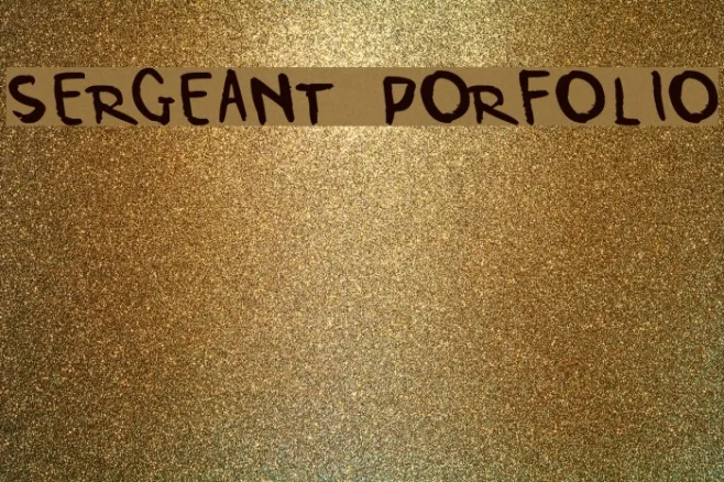 Sergeant Porfolio Example 2