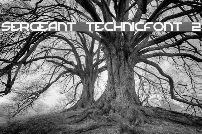Sergeant TechnicFont 2 Font examples