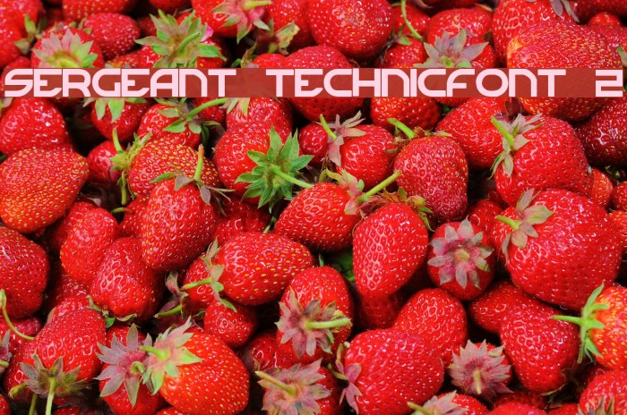 Sergeant TechnicFont 2 Example 3