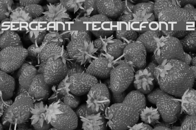 Sergeant TechnicFont 2 Font examples