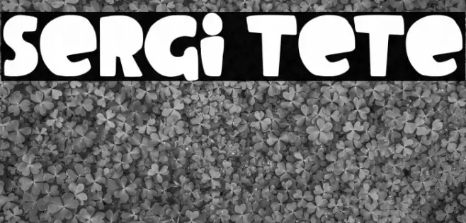 Sergi Tete Fonte examples