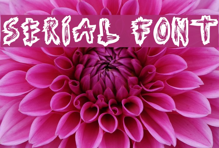 Serial Font Font examples