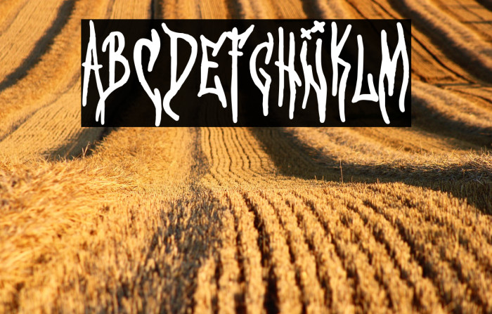 Serial Killer 2021 Example 1