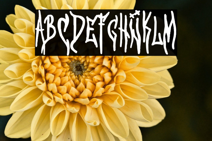 Serial Killer 2021 Example 2