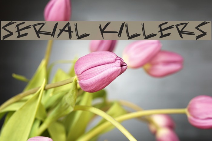 Serial Killers Font examples
