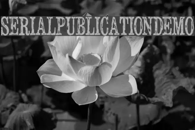 SerialPublicationDemo Font examples