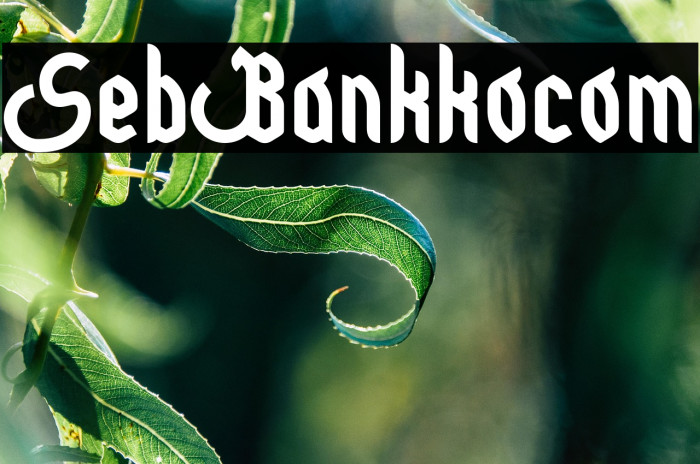 Seribu Bulan ikiiko.com Example 3