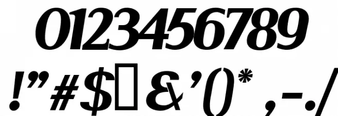 Serif BlackItalic Font OTHER CHARS