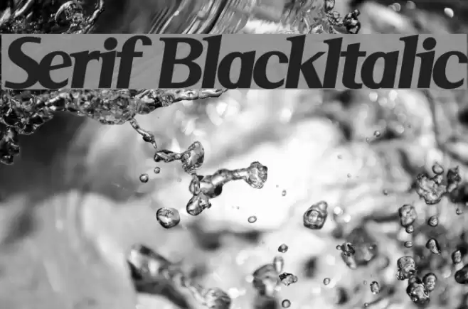 Serif BlackItalic Font examples