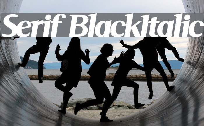 Serif BlackItalic Font examples