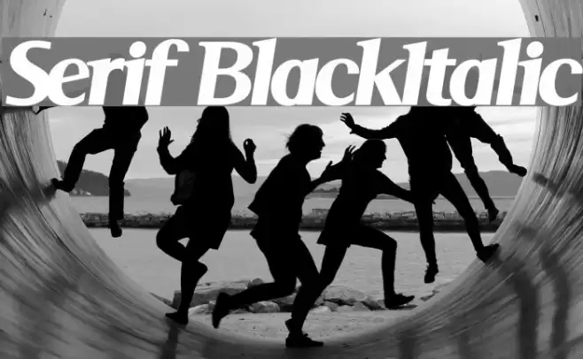 Serif BlackItalic Font examples