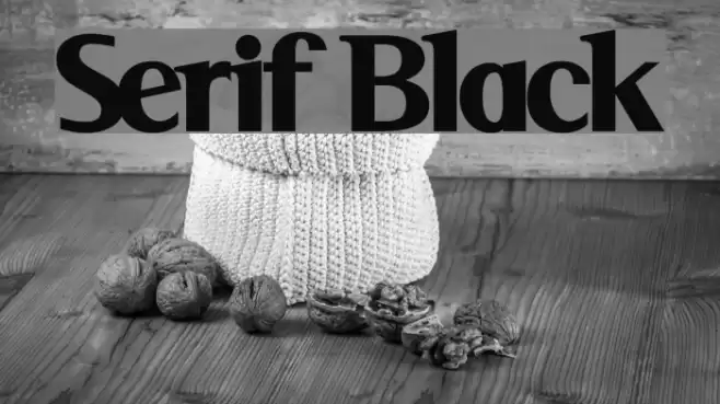 Serif Black Font examples