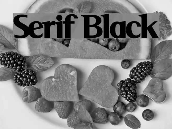 Serif Black Font examples