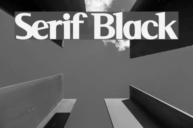 Serif Black Font examples