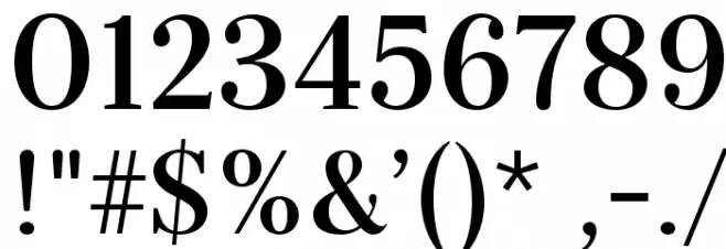 Serif-Bold Font OTHER CHARS