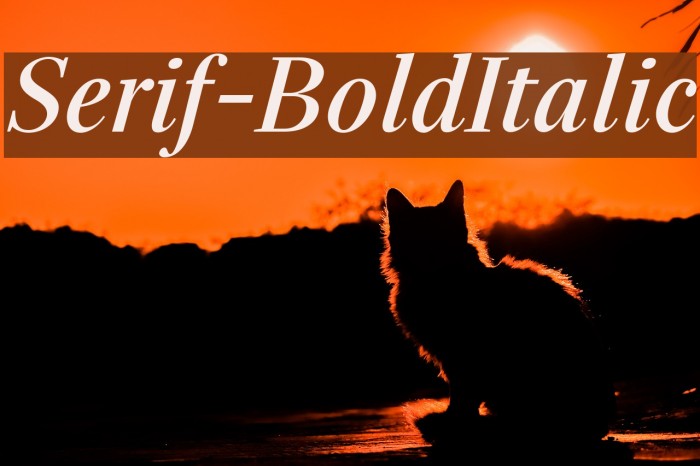 Serif-BoldItalic Font examples
