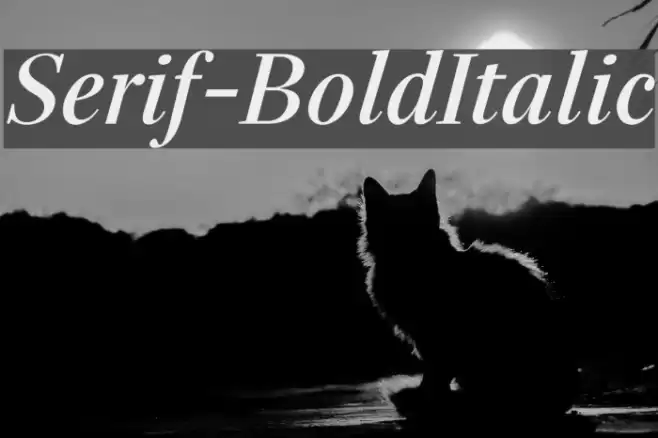 Serif-BoldItalic Шрифта examples