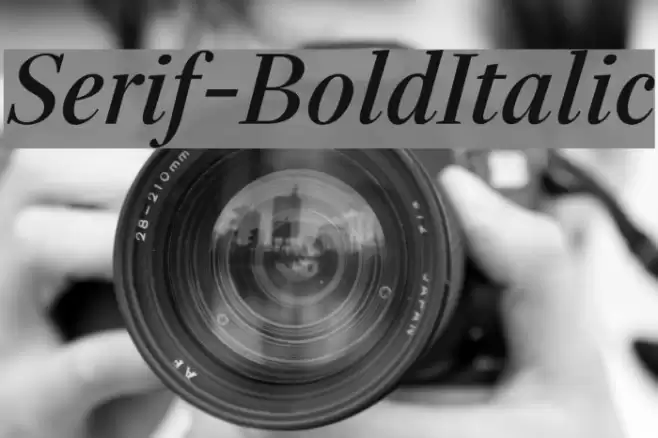 Serif-BoldItalic Шрифта examples