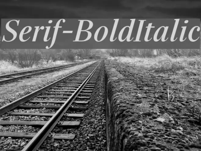 Serif-BoldItalic Шрифта examples