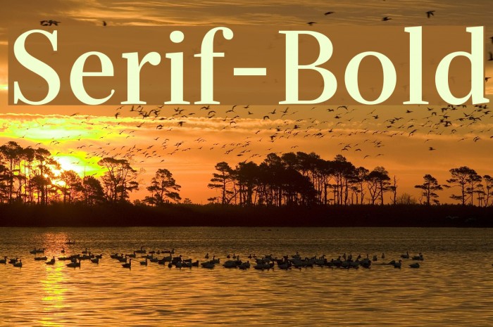 Serif-Bold Font examples
