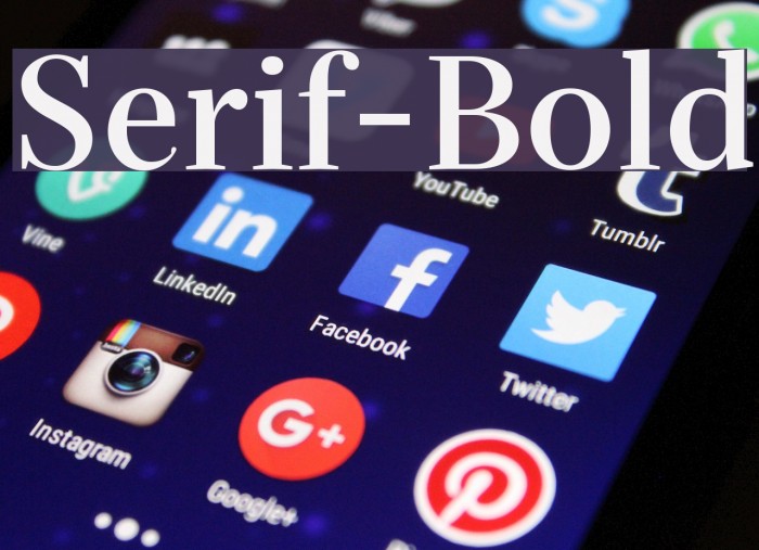 Serif-Bold Font examples