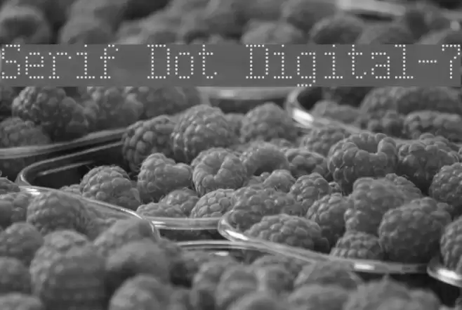 Serif Dot Digital-7 Font examples