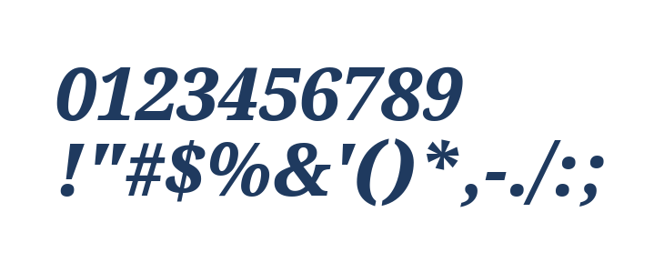 Serif ExtraBold Italic Other Characters
