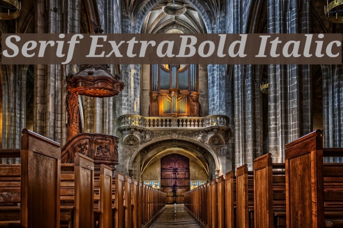 Serif ExtraBold Italic Example 1