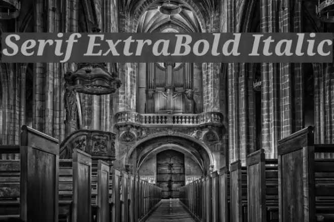 Serif ExtraBold Italic Font examples