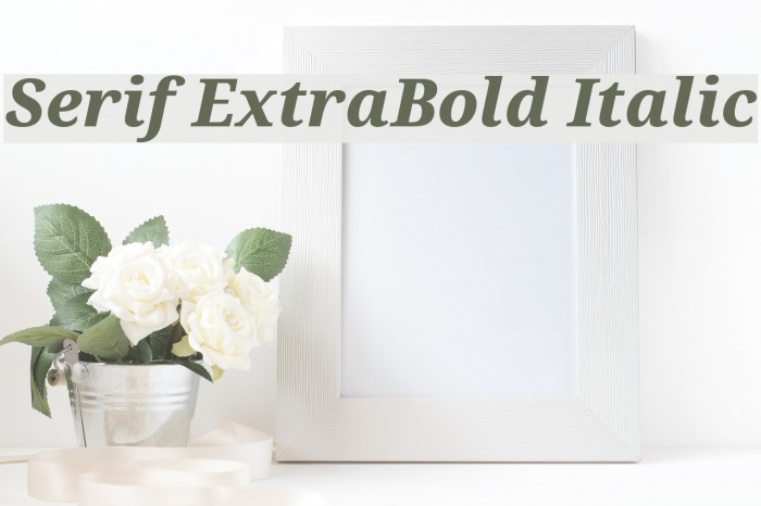 Serif ExtraBold Italic Example 2