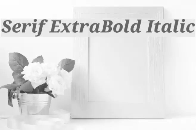 Serif ExtraBold Italic Font examples