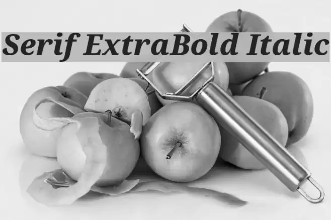 Serif ExtraBold Italic Font examples