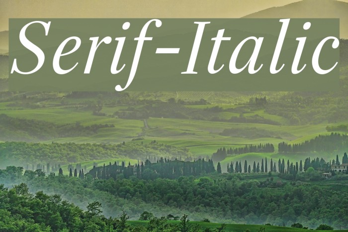 Serif-Italic Font examples
