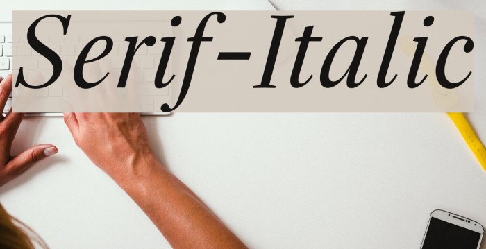 Serif-Italic Font examples