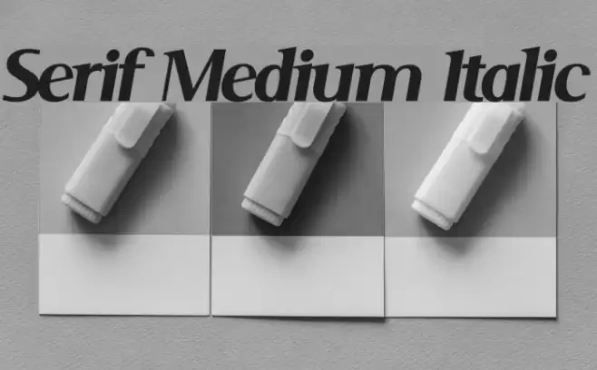 Serif Medium Italic Font examples