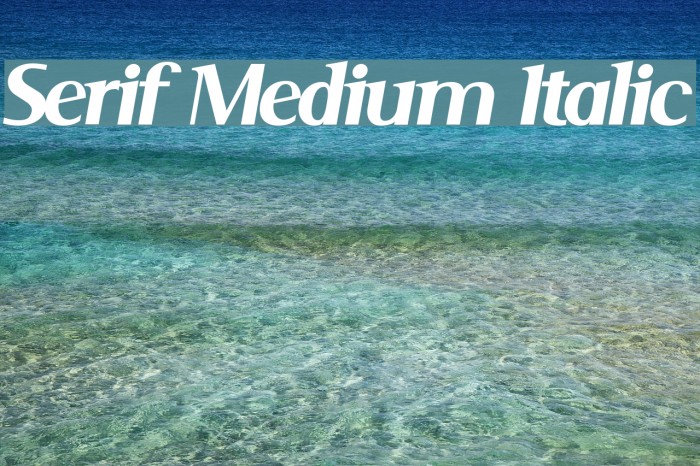 Serif Medium Italic Fonte examples