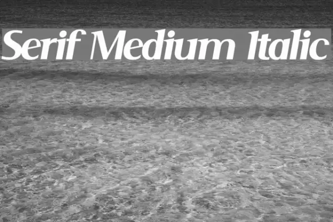 Serif Medium Italic Font examples
