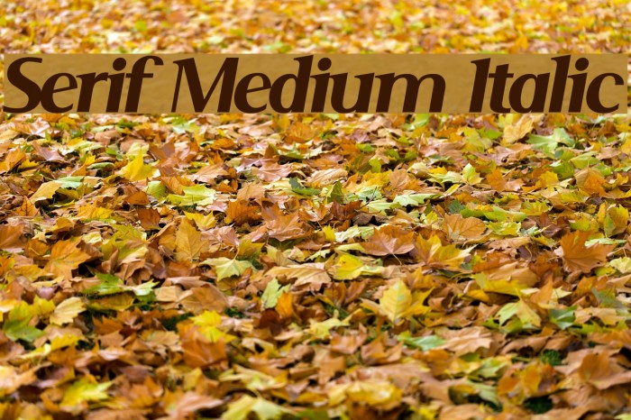 Serif Medium Italic Fonte examples