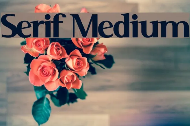 Serif Medium Example 2